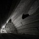 Illustration for article titled The finalists for 2014s Sony World Photography Awards are outstanding